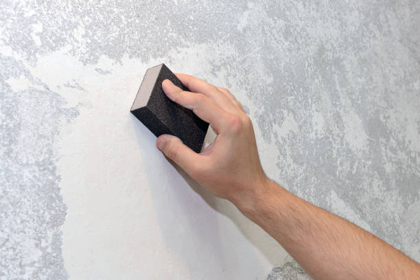 Best Asbestos and Lead Testing During Mold Inspection  in Savage, MN