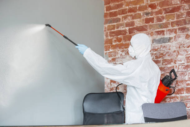 Professional Mold Removal in Savage, MN