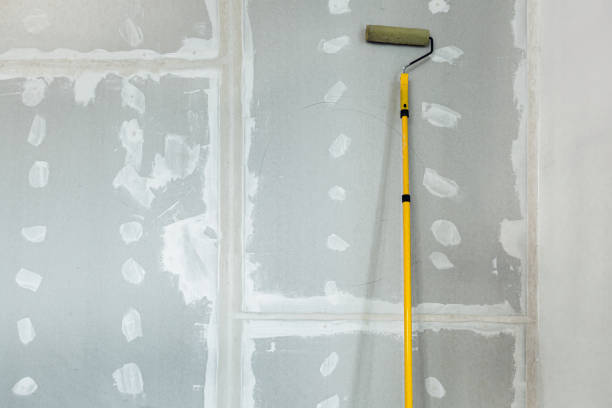 Best Airborne Mold Testing  in Savage, MN