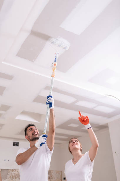 Best Environmental Consulting for Mold Prevention  in Savage, MN