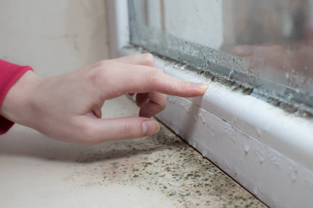 Biohazard Mold Removal in Savage, MN