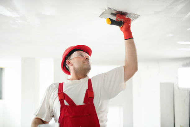 Best Mold Prevention Services  in Savage, MN