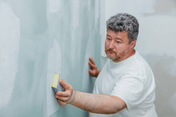 Best Basement Mold Removal  in Savage, MN