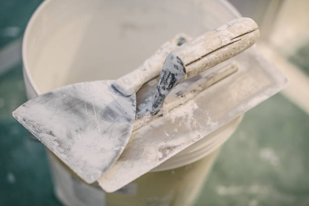 Best Mold Odor Removal Services  in Savage, MN